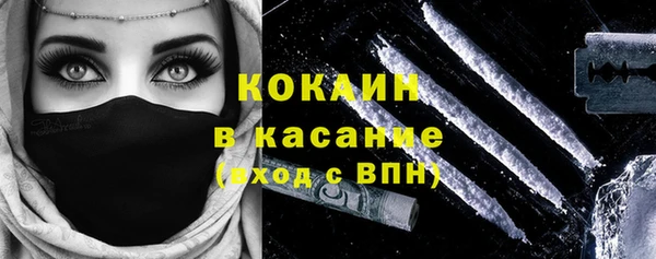 твердый Аркадак