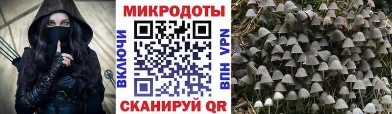 Галлюциногенные грибы мицелий  Кирово-Чепецк 