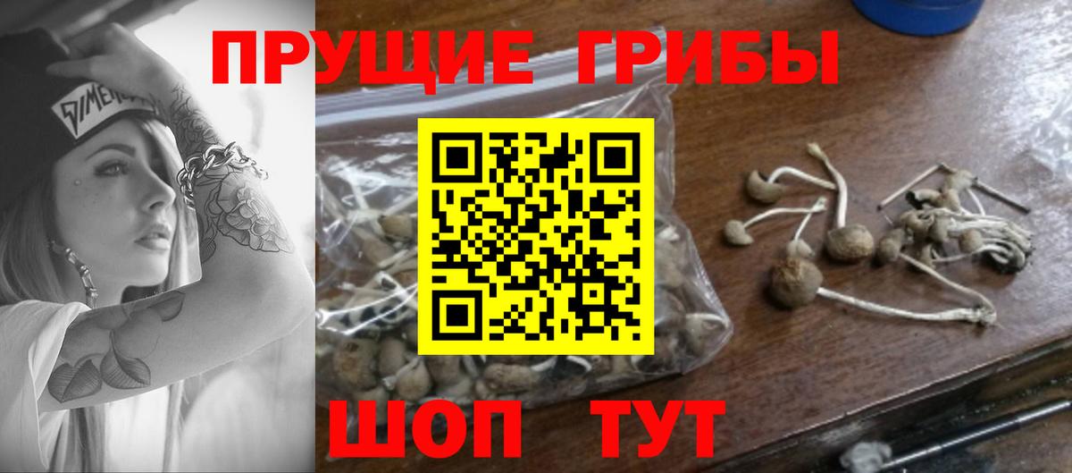 Галлюциногенные грибы Psilocybine cubensis  Вход с VPN  магазин    Кирово-Чепецк 